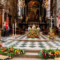 Fiacriusmesse 2025 / Erzdiözese Wien/Schönlaub, Stephan Schönlaub