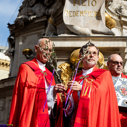 2025 Palmsonntag / Erzdiözese Wien/ Schönlaub, Stephan Schönlaub