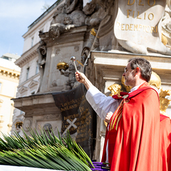 2025 Palmsonntag / Erzdiözese Wien/ Schönlaub, Stephan Schönlaub