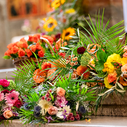 Fiacriusmesse 2025 / Erzdiözese Wien/Schönlaub, Stephan Schönlaub