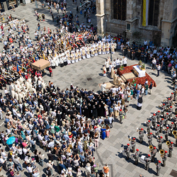 Fronleichnam 2025 / Erzdiözese Wien/ Schönlaub