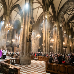 Weltdownsyndromtag / Erzdiözese Wien/Schönlaub