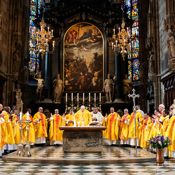 Priesterjubiläen / Erzdiözese Wien/ Schönlaub
