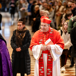 Erzdiözese Wien/ Schönlaub, Stephan Schönlaub