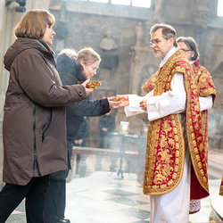 Stephanifest / Erzdiözese Wien/Schönlaub, Stephan Schönlaub