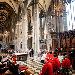 2025 Palmsonntag / Erzdiözese Wien/ Schönlaub, Stephan Schönlaub