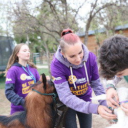 Dies & Das im Therapiehof Regenbogental