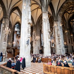 2025 Palmsonntag / Erzdiözese Wien/ Schönlaub, Stephan Schönlaub
