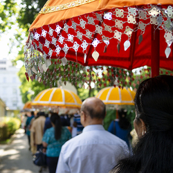 Erzdiözese Wien/ Hafellner