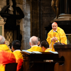 Priesterjubiläen / Erzdiözese Wien/ Schönlaub