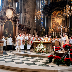 Stephanifest / Erzdiözese Wien/Schönlaub, Stephan Schönlaub